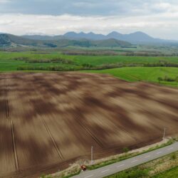 けし畑 畑に現れた大昔の凍れの証拠 | 北海道・十勝をまるごと体感！とかち