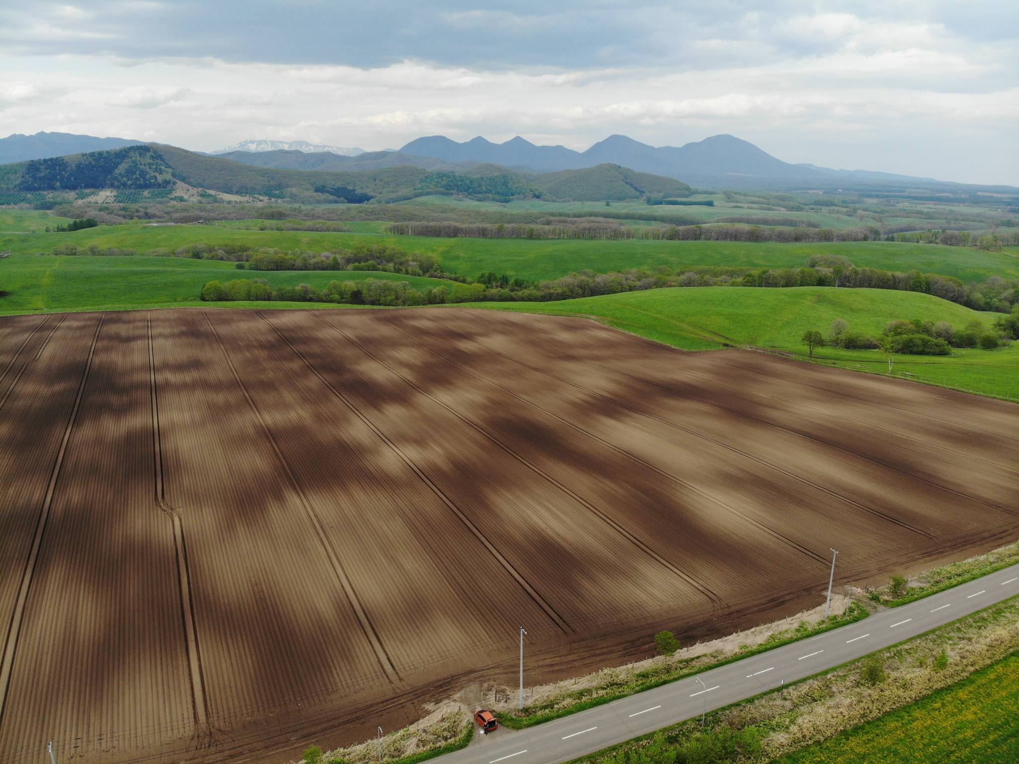 ケシ畑 畑に現れた大昔の凍れの証拠 | 北海道・十勝をまるごと体感！とかち