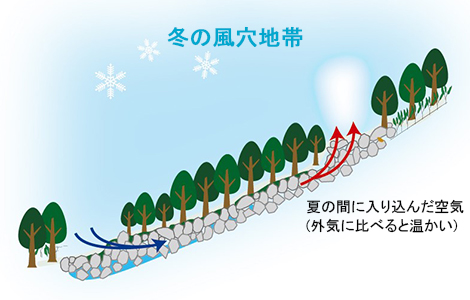 冬の風穴地帯