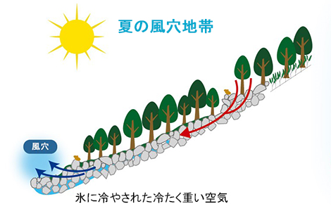 夏の風穴地帯