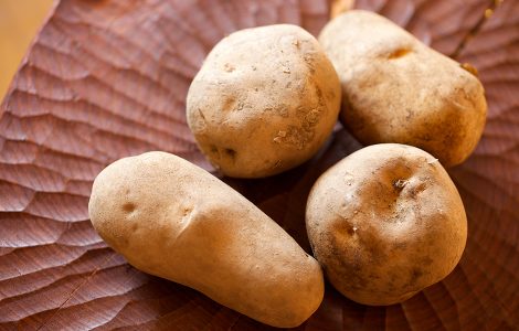 Potatoes grown in Shikaoi Town