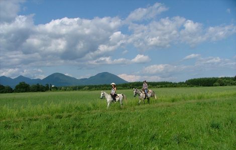 Horseback riding