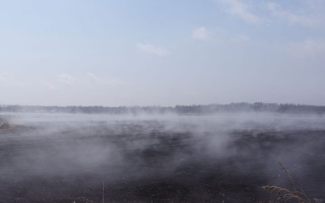 春の土から上がる湯気